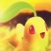 Chikorita