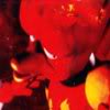 Magmar