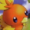 Torchic