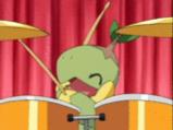 Drumming turtwig!