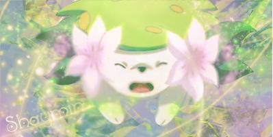 Shaymin awesome 3