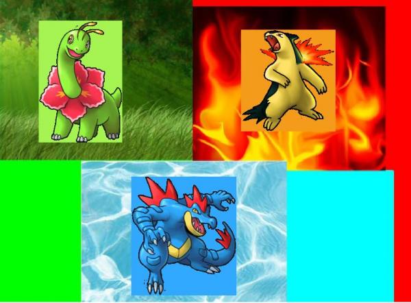 Meganium, Typhlosion, and Feraligatr