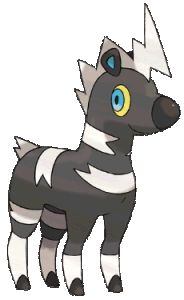 shimama